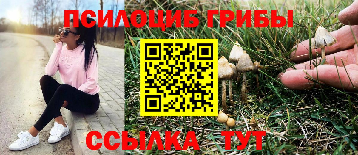 Галлюциногенные грибы мицелий  Вход с VPN  Северодвинск 